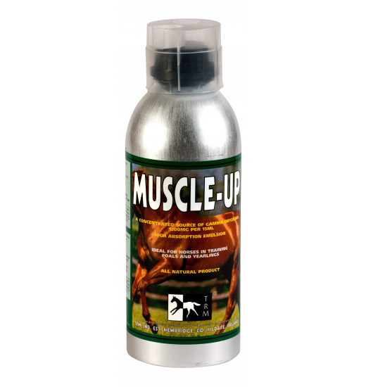 MUSCLE - UP - 1 in category: feed and supplements for horse riding