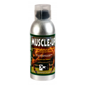 MUSCLE - UP - 1 in category: feed and supplements for horse riding