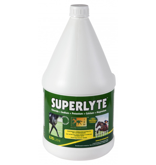 SUPERLYTE SYRUP - 1 in category: feed and supplements for horse riding
