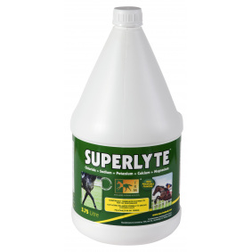 SUPERLYTE SYRUP - 1 in category: feed and supplements for horse riding