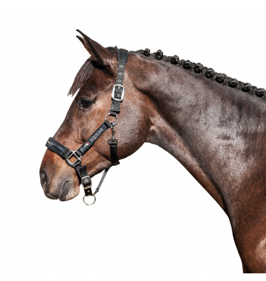 EQUILINE KANTAR Z UWIĄZEM Equiline EQUILINE KANTAR Z UWIĄZEM