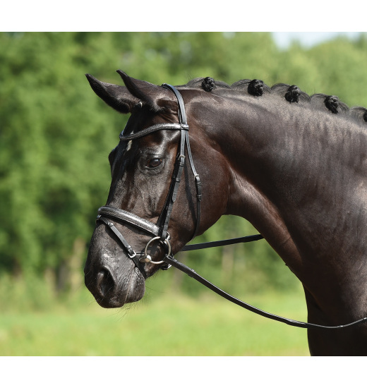 BUSSE BRIDLE NOTTINGHAM - 1 in category: Bridles for horse riding