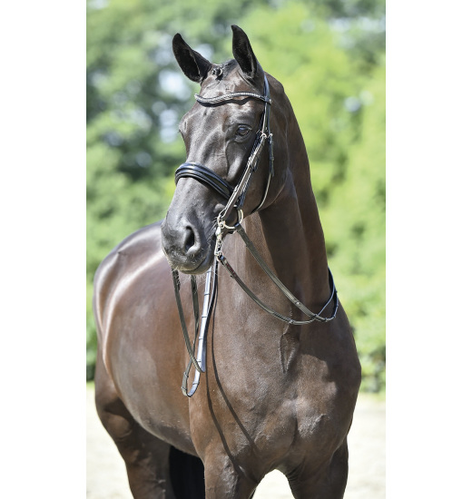 BUSSE DOUBLE BRIDLE MASSA - 1 in category: Weymouth bridles for horse riding