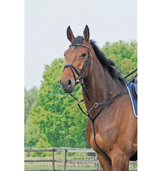 BUSSE MARTINGALE BASIC - 1 in category: Martingales for horse riding