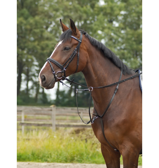 BUSSE MARTINGALE BASIC-PRO - 1 in category: Martingales for horse riding