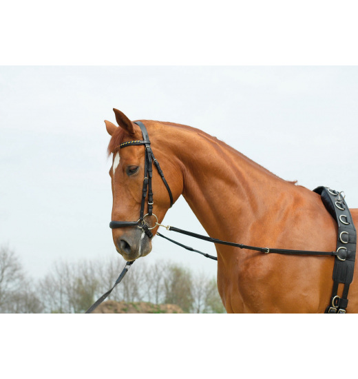 BUSSE SIDE REINS BASIC-ELASTIK - 1 in category: Side reins for horse riding