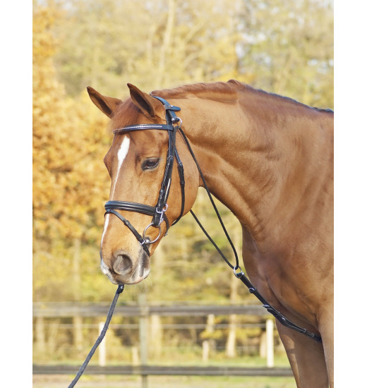 BUSSE CHAMBON BASIC - 1 in category: Side reins for horse riding