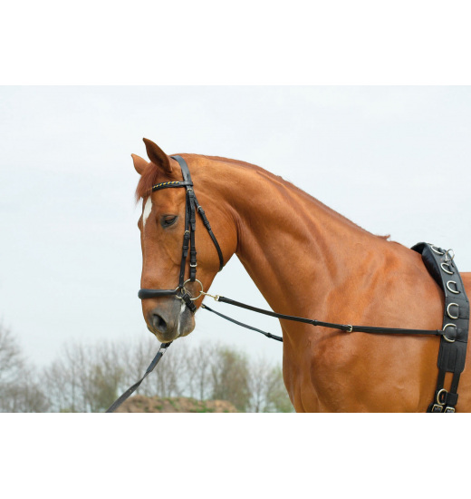 BUSSE SIDE REINS BASIC-STARR - 1 in category: Side reins for horse riding