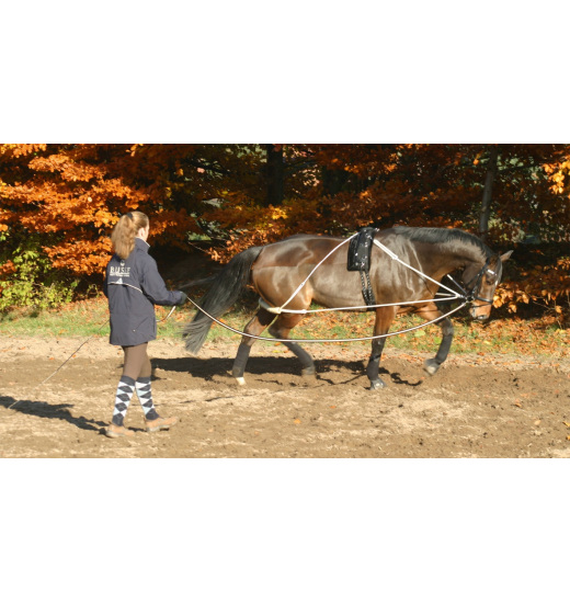 BUSSE LUNGE SUPPORT PROFESSIONAL - 1 in category: Side reins for horse riding
