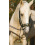 BUSSE LUNGE SUPPORT COTTON - 2 in category: Side reins for horse riding