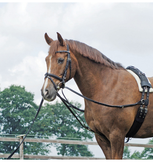 SIDE REIN TRIANGLE BASIC Busse SIDE REIN TRIANGLE BASIC