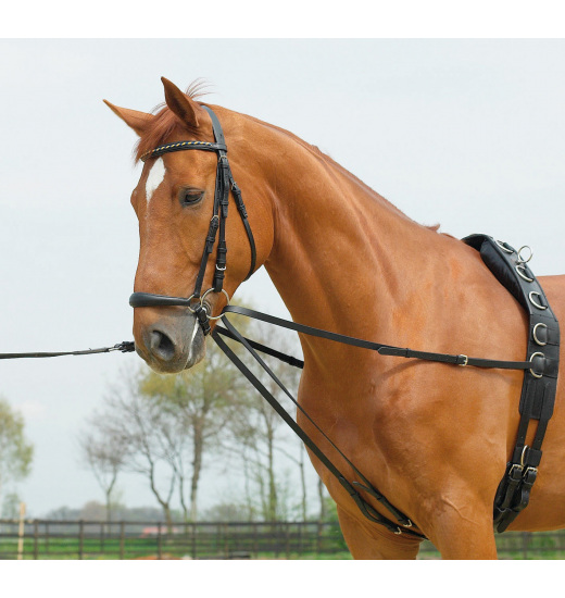 BUSSE SIDE REIN DOUBLE BASIC - 1 in category: Side reins for horse riding