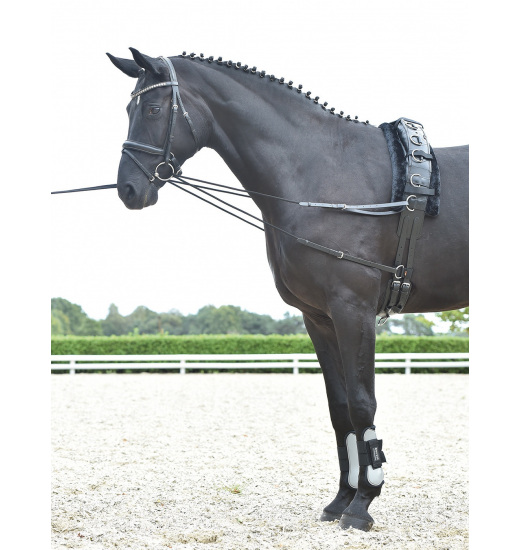 BUSSE SIDE REIN DOUBLE BASIC-KORDEL - 1 in category: Side reins for horse riding