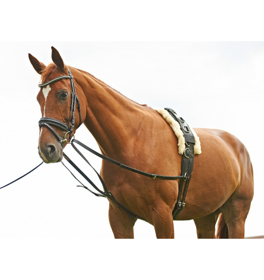 BUSSE SIDE REIN TRIANGLE SOLIBEL Busse BUSSE SIDE REIN TRIANGLE SOLIBEL