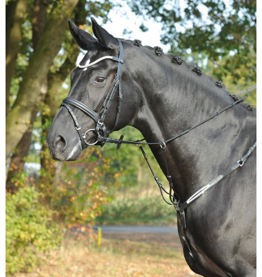 BREASTPLATE BRILLIANCE BREASTPLATE BRILLIANCE