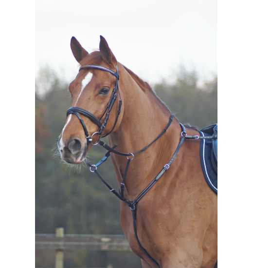 BUSSE BREASTPLATE BASIC - 1 in category: Breastplates with martingales for horse riding
