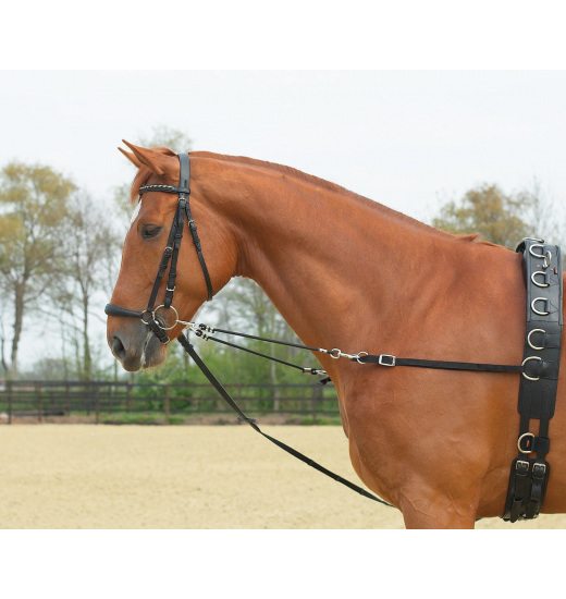 BUSSE SIDE REINS ELASTIK - 1 in category: Side reins for horse riding