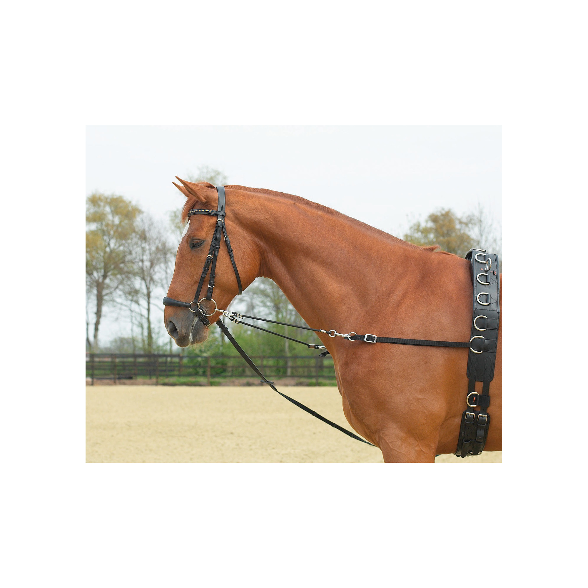 Busse SIDE REINS ELASTIK Equestrian Shop