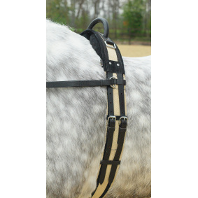 Busse Lunge Roller Padded Adjustable Lunging Training Shetland/Pony/Full 