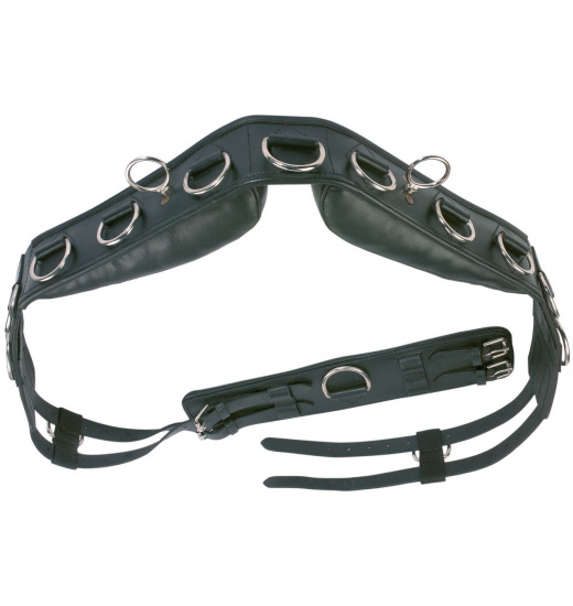 PAS DO LONŻOWANIA PROFESSIONAL-LEDER PAS DO LONŻOWANIA PROFESSIONAL-LEDER