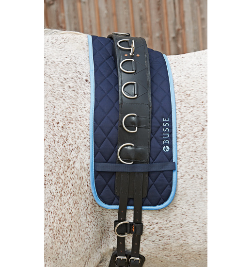 Busse LUNGING GIRTH PAD COLOUR Equestrian Shop