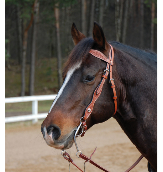 WILDHORN HEADSTALL RAY - 1 in category: Bridles for horse riding