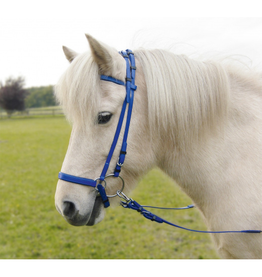 BRIDLE ICELAND SIMPLE-ICE Busse BRIDLE ICELAND SIMPLE-ICE