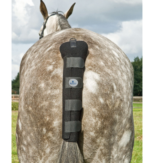 TAIL GUARD SPORT Busse TAIL GUARD SPORT