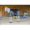 Equiline LOYD PADDOCK RUG 200GR - 1 in category: Equiline Winter 2016 for horse riding