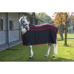 DERKA BRIANNA Z ODPINANANYMI PASAMI W16 - 1 w kategorii: Equiline Zima 2016 do jazdy konnej