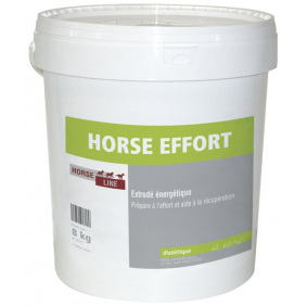 HORSE EFFORT - 1 in category: Horse Line for horse riding
