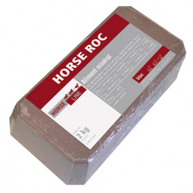 HORSE ROC - 1 in category: Horse Line for horse riding