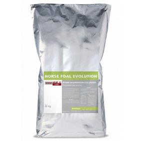 HORSE FOAL EVOLUTION - 1 in category: Horse Line for horse riding