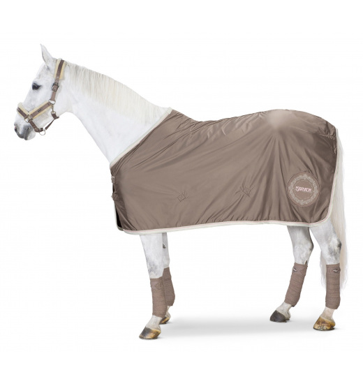 DOUBLEFACE COTTON SWEAT RUG CLASSIC SPORTS DOUBLEFACE COTTON SWEAT RUG CLASSIC SPORTS