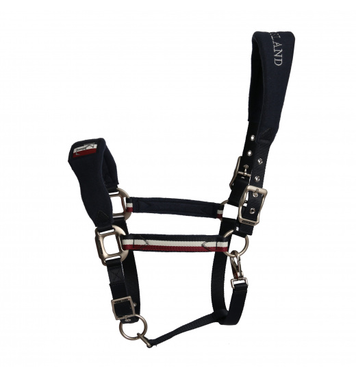 KINGSLAND CLASSIC HALTER - 1 in category: Halters for horse riding
