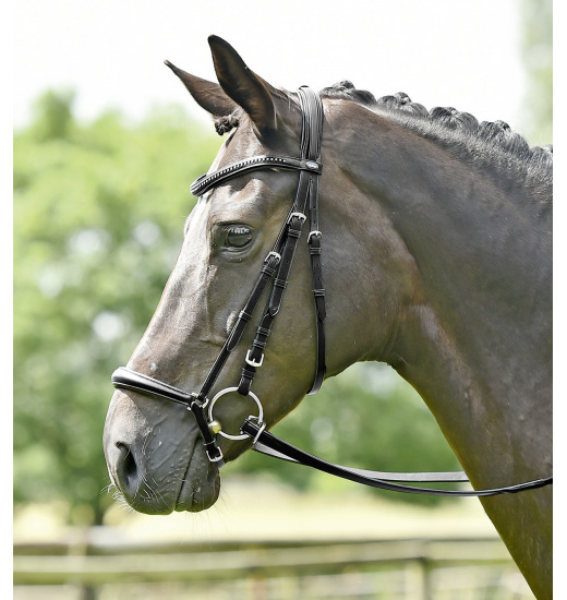 BUSSE BRIDLE HEIDELBERG Busse BUSSE BRIDLE HEIDELBERG