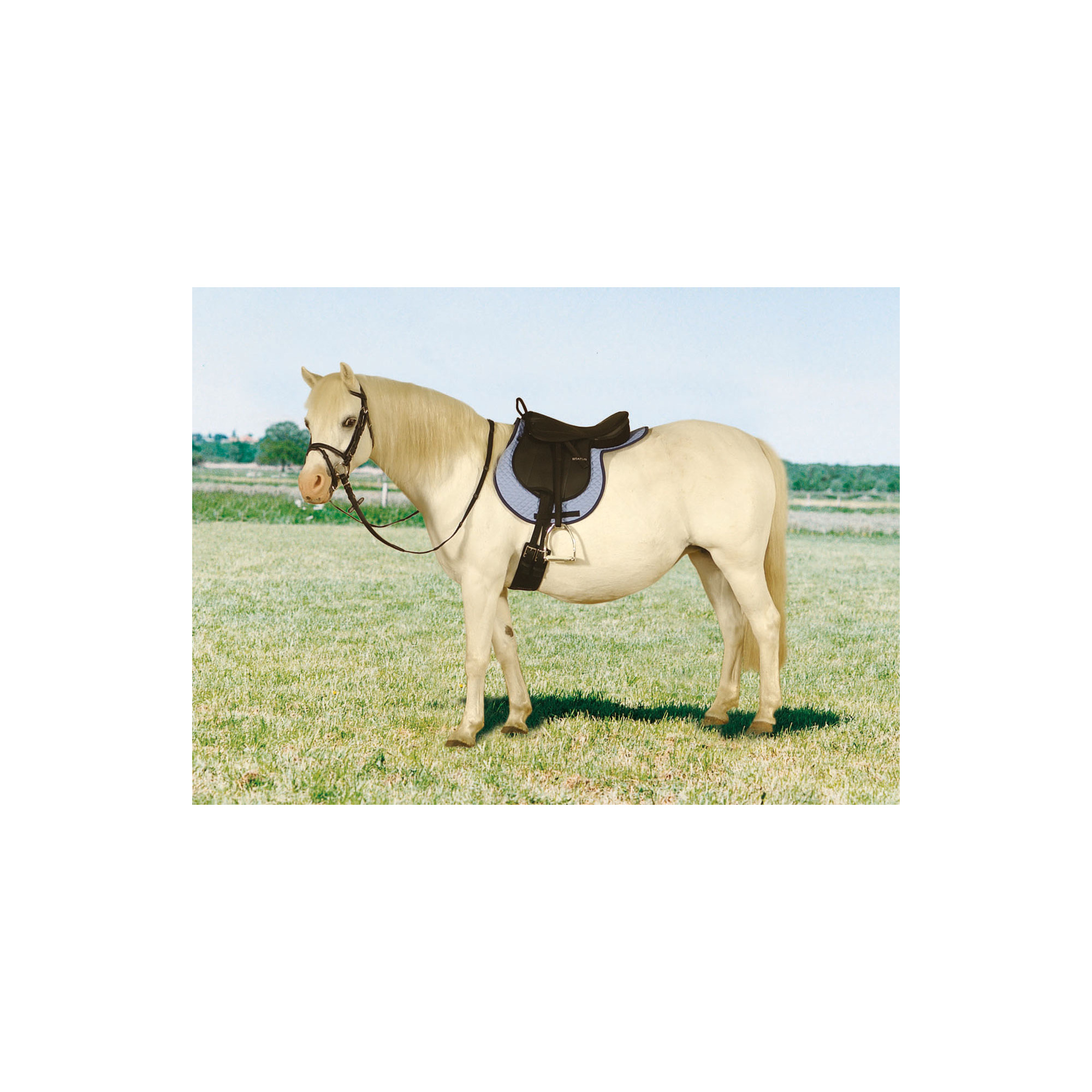 BUSSE STIRRUP LEATHERS STATUS CHILD Equestrian Shop