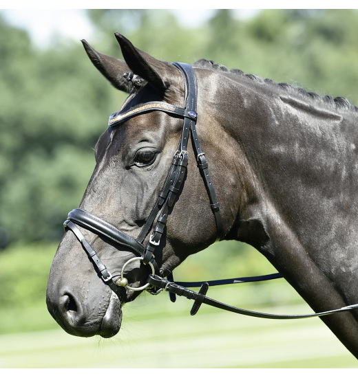 BRIDLE GLORY BRIDLE GLORY