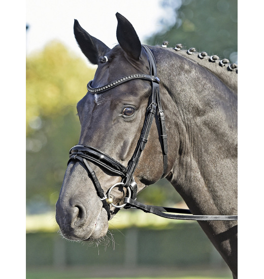 BUSSE BRIDLE LUXURY BLACK