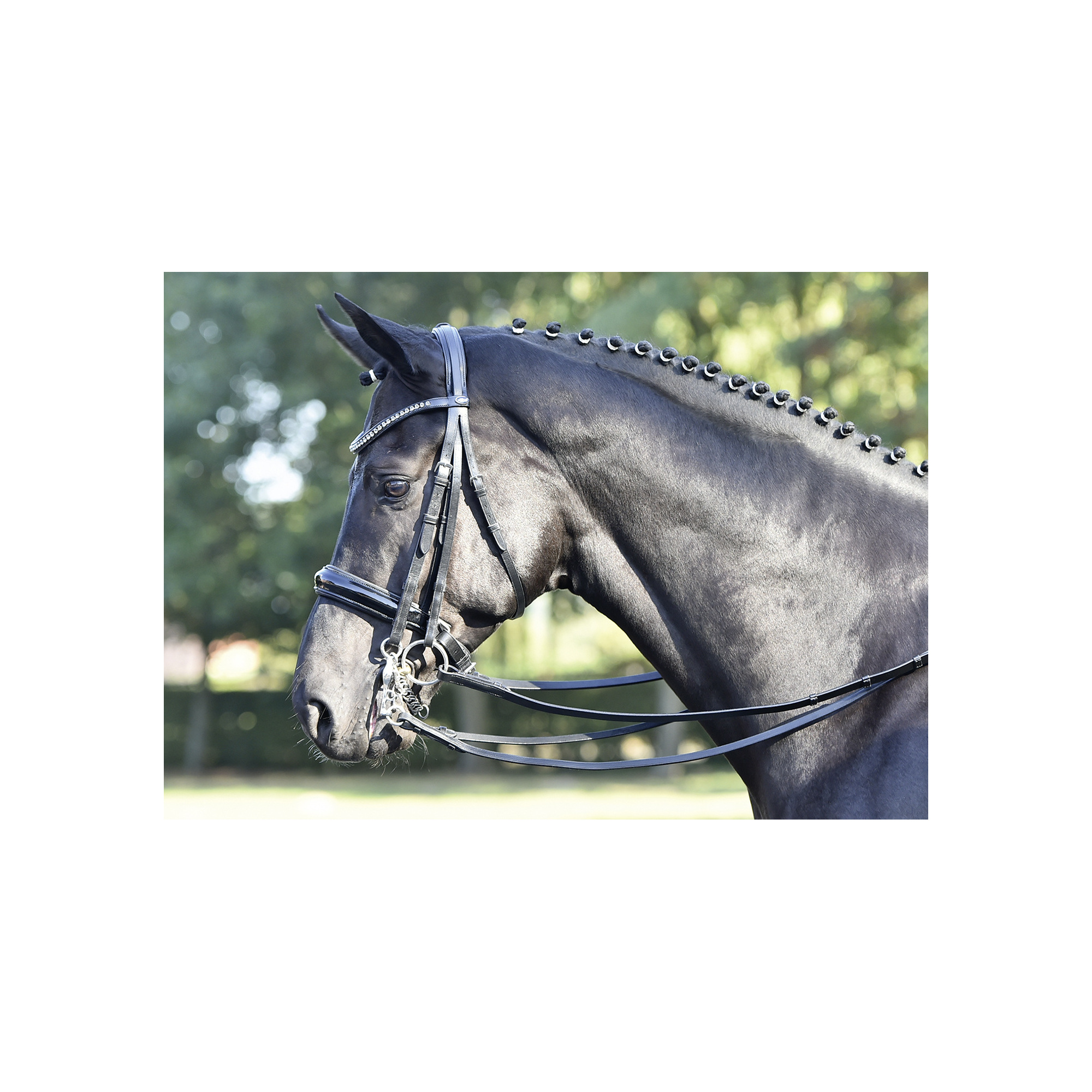 Busse Luxury Patent Weymouth Double Bridle Comfort Headpiece Including Reins