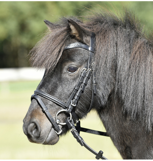 BUSSE BRIDLE SHETTY II - 1 in category: Bridles for horse riding