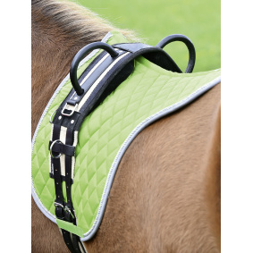 Waldhausen fleece and web lunge roller/lunging roller with girth shetland/pony/f 