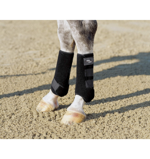 PRO DRESSAGE BOOTS REAR PRO DRESSAGE BOOTS REAR