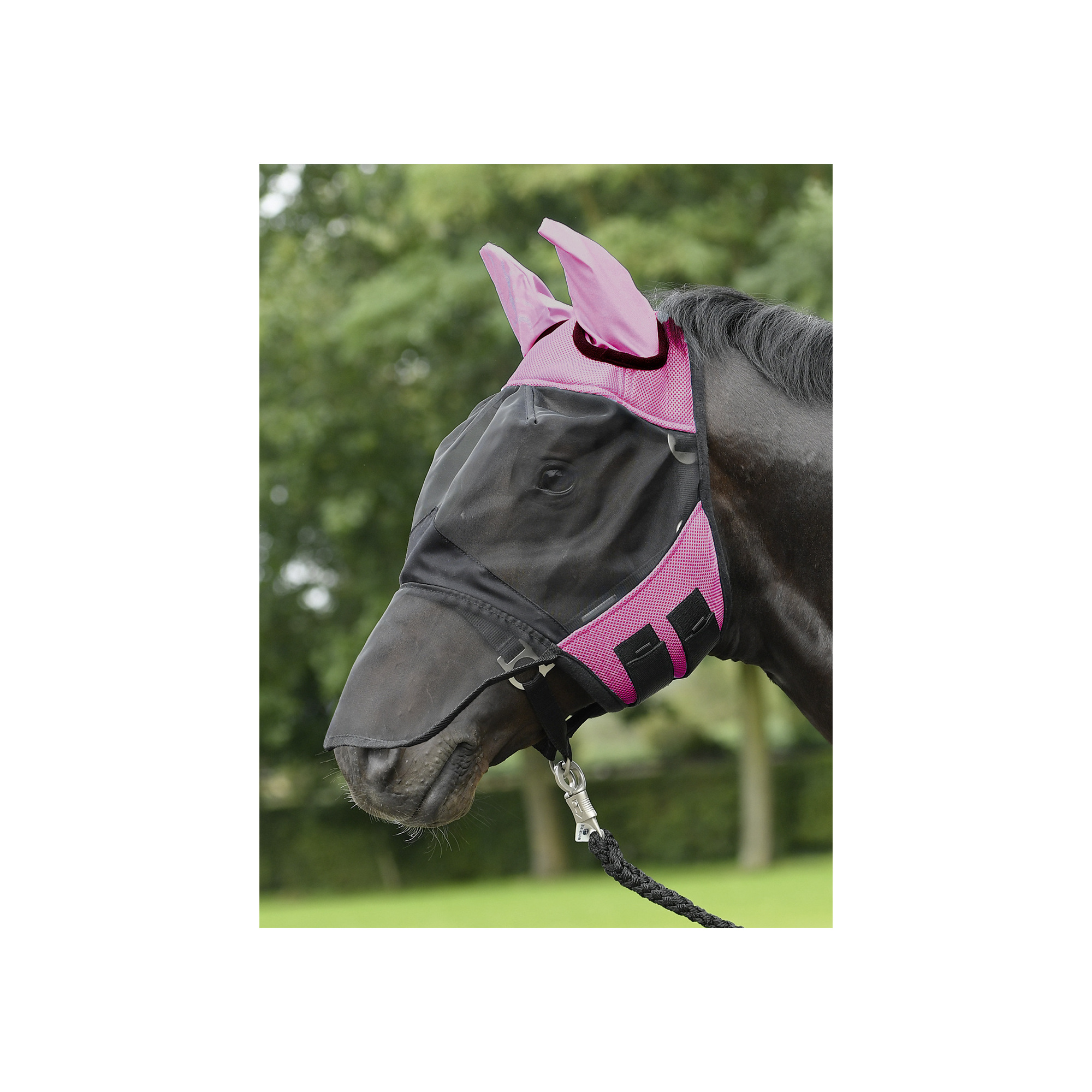 BUSSE FLY COVER PRO ANTI FLY RUG - EQUISHOP Equestrian Shop