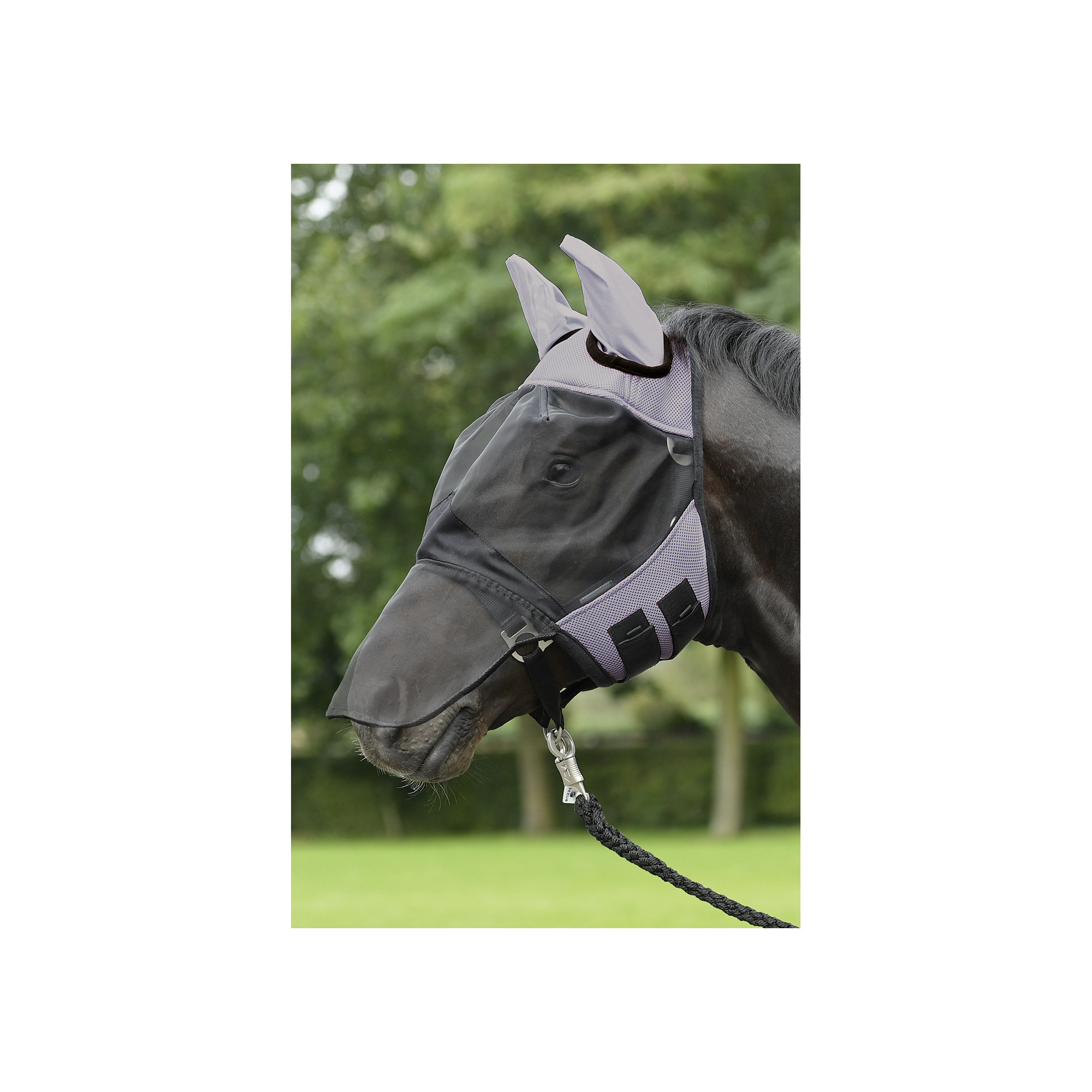 BUSSE FLY COVER PRO ANTI FLY RUG - EQUISHOP Equestrian Shop