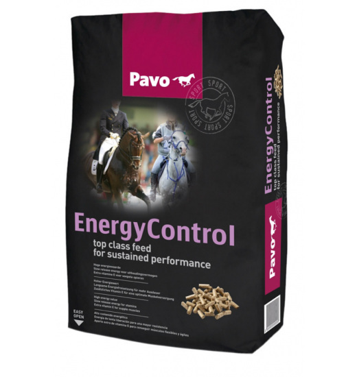 PASZA ENERGY CONTROL PASZA ENERGY CONTROL