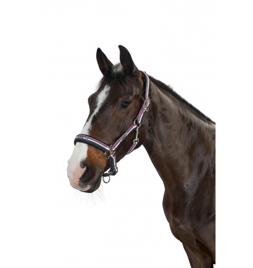 Eskadron ESKADRON KANTAR PIN BUCKLE Z FUTERKIEM NEW GENERATION