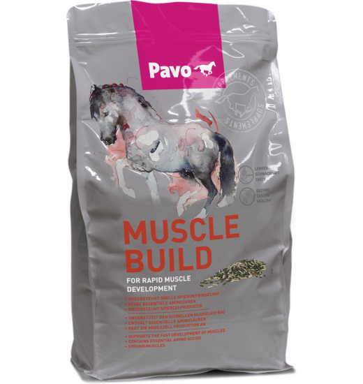 SUPLEMENT MUSCLEBUILD - 1 in category: feed and supplements for horse riding