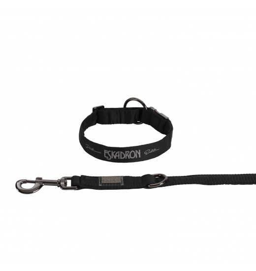 GLOSSY DOG COLLAR AND LEASH PLATINUM GLOSSY DOG COLLAR AND LEASH PLATINUM