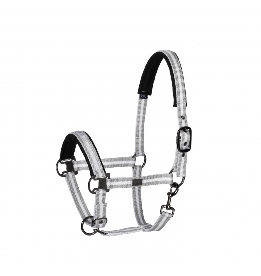 PIN BUCKLE HEADCOLLAR PLATINUM PURE PIN BUCKLE HEADCOLLAR PLATINUM PURE
